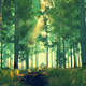 Firewatch